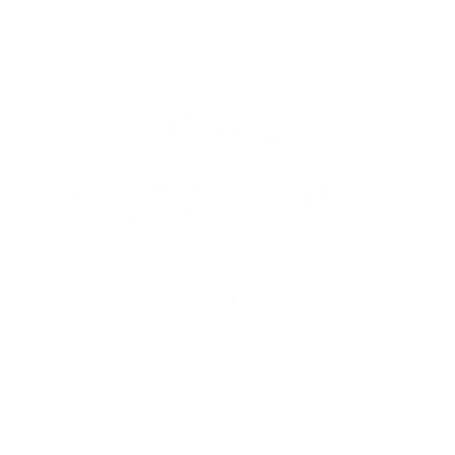 cropped best srilanka tour 2 removebg preview.png